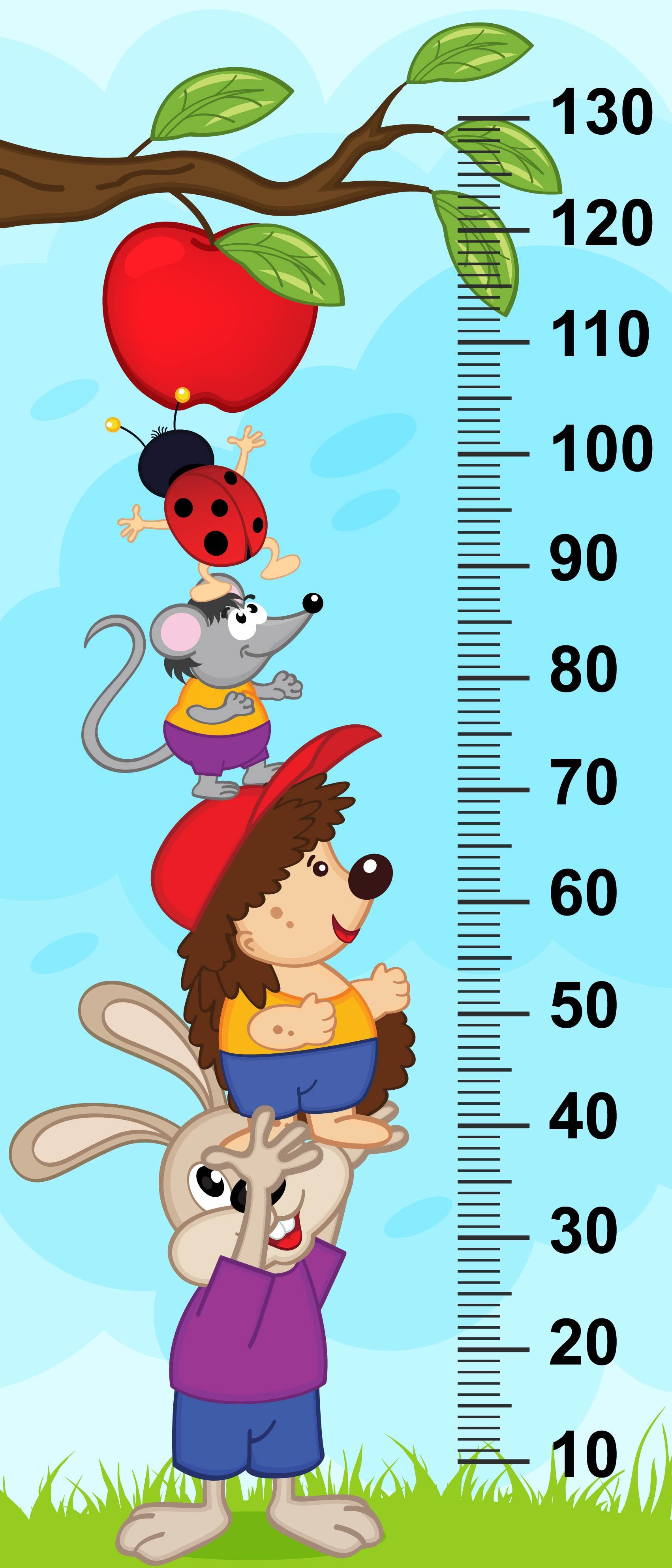 Çocuk Odası Bebek Odası Boy Ölçer Boy Cetveli Sticker Hayvanlar Elma