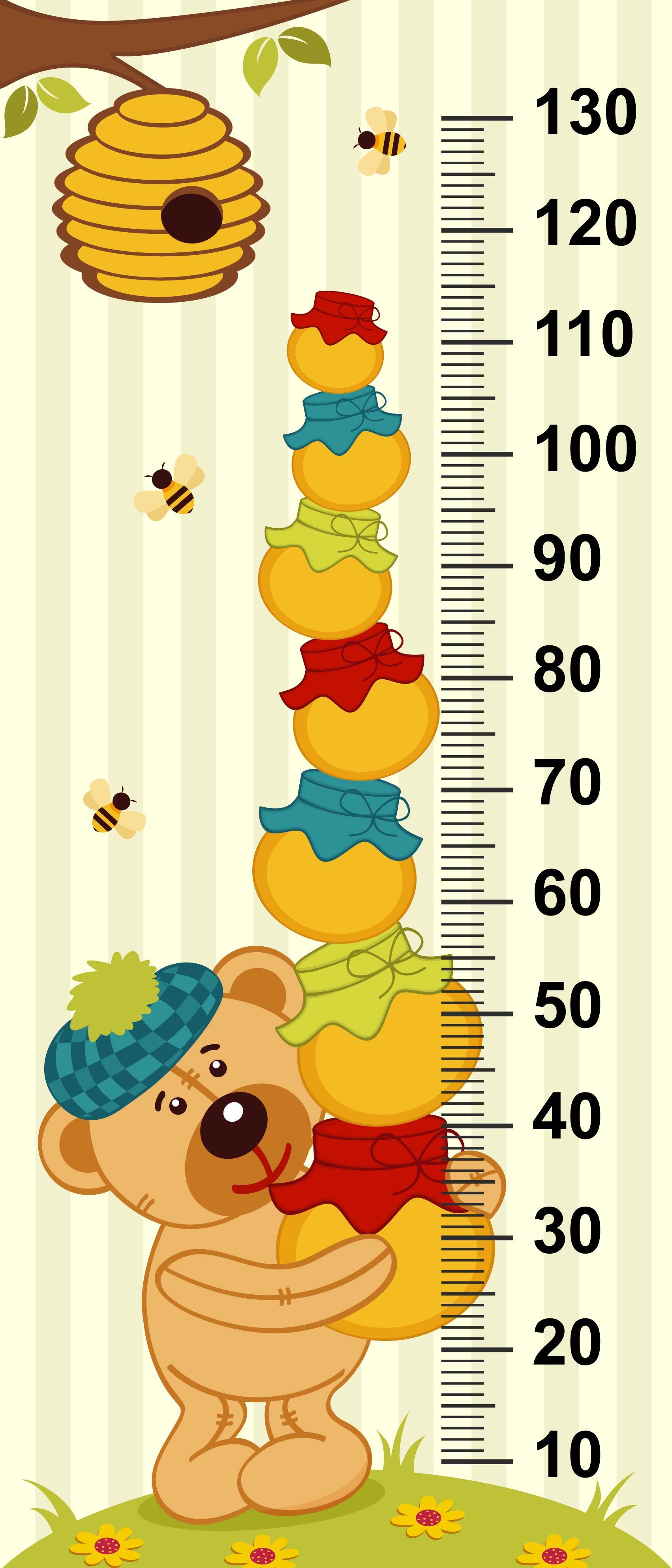 Çocuk Odası Bebek Odası Boy Ölçer Boy Cetveli Sticker Ayı ve Bal
