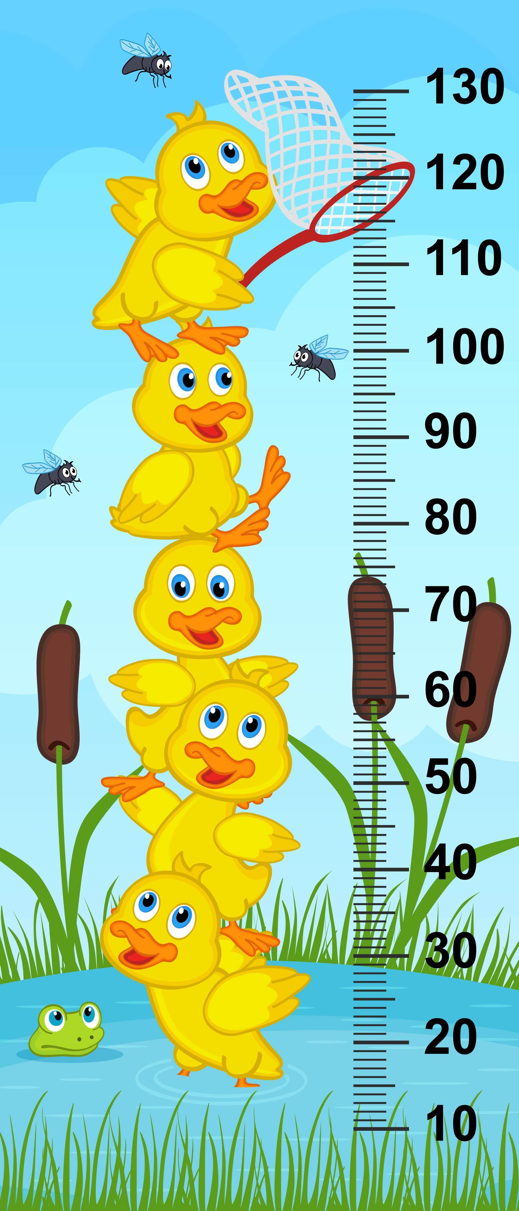 Çocuk Odası Bebek Odası Boy Ölçer Boy Cetveli Sticker Ördekler