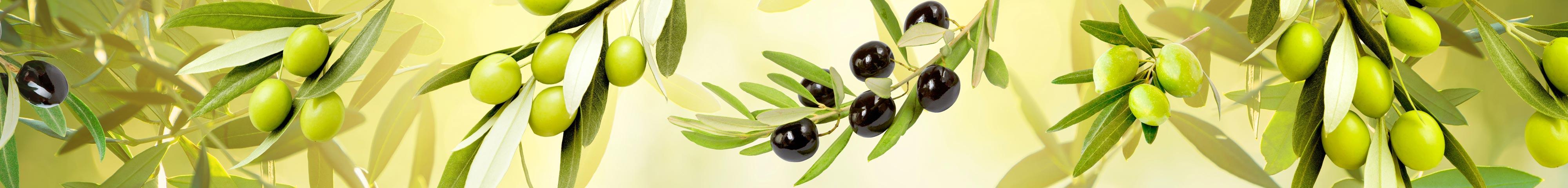 Mutfak Tezgah Arası Folyo Fayans Kaplama Folyosu Zeytin Dalı